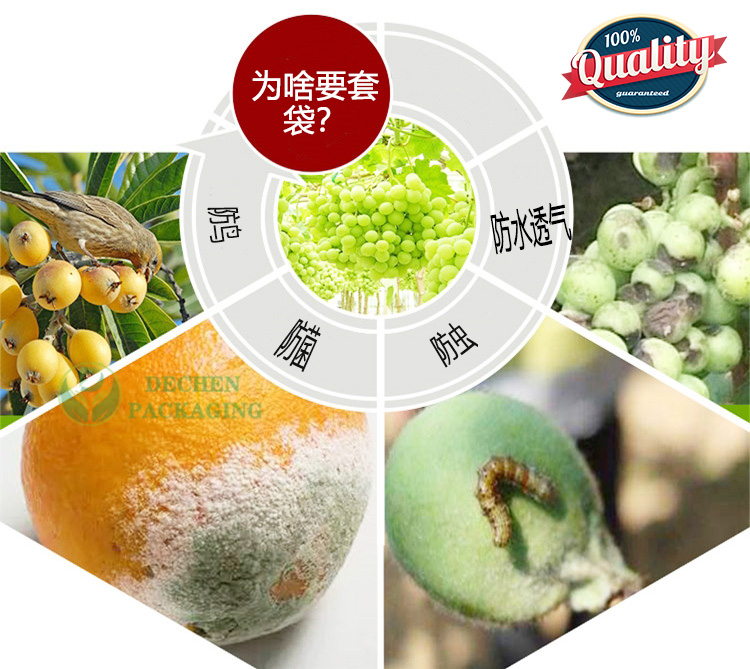 求购白色葡萄袋 阳光玫瑰葡萄专用套袋价格  阳光玫瑰葡萄袋价格  阳光玫瑰葡萄专用的袋