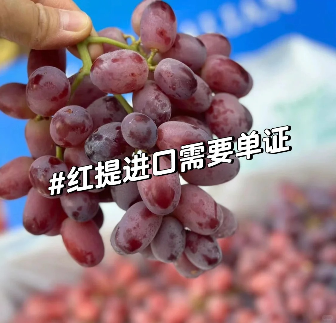 水果红提进口报关 进口水果时效快