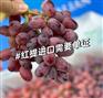 水果红提进口报关 进口水果时效快