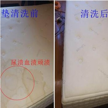 广州市海珠区除螨虫，床上螨虫处理，专业除螨公司  除螨服务  室内除螨虫  床垫沙发除螨