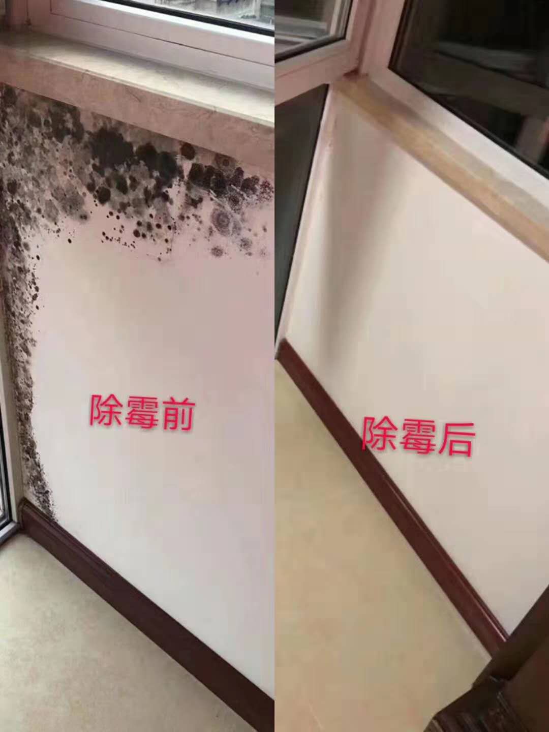 广州除霉公司，专业除霉杀菌，房屋防霉  上门除霉  防霉处理