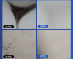 广州海珠新滘除霉公司，除霉防霉，深度清洁墙壁霉渍  除霉服务  防霉处理  房屋除霉