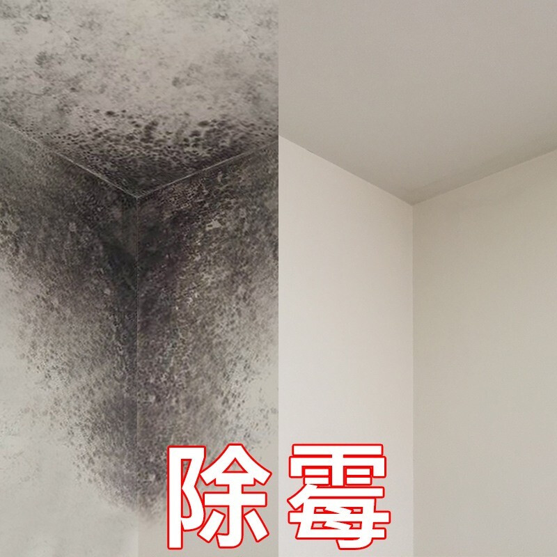 广州除霉公司，专业除霉杀菌，墙壁霉渍清理  除霉服务  上门除霉  楼房除霉