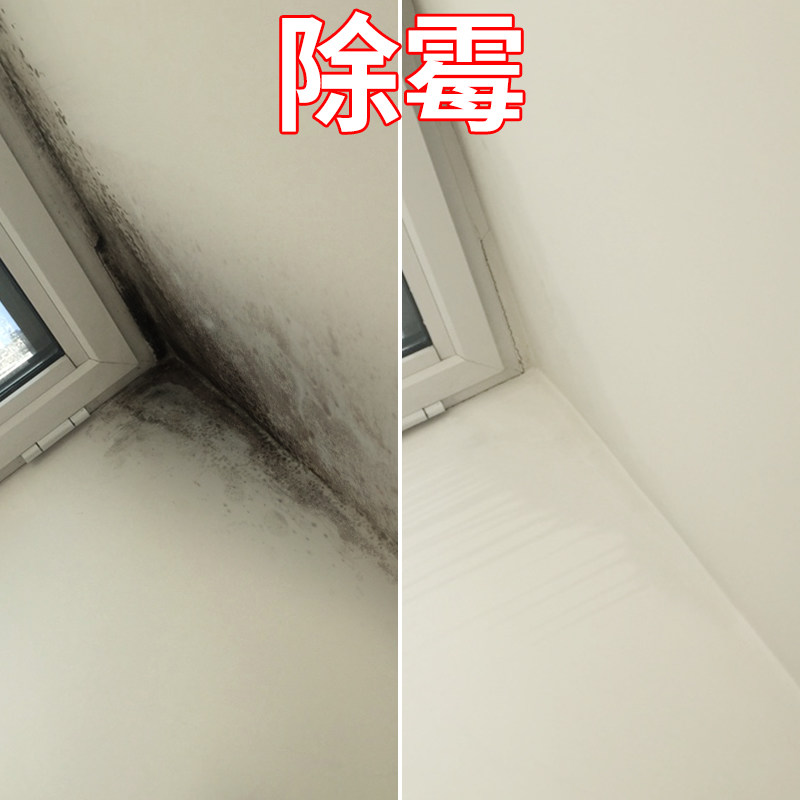 广州番禺亚运城除霉公司，上门处理房屋发霉，除霉防霉  上门除霉  房屋除霉