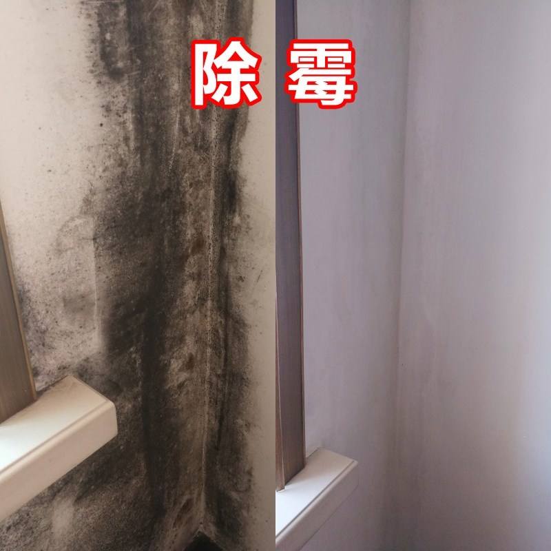 广州番禺亚运城除霉公司，上门处理房屋发霉，除霉防霉  上门除霉  房屋除霉