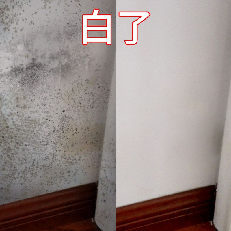 广州番禺亚运城除霉公司，上门处理房屋发霉，除霉防霉  上门除霉  房屋除霉