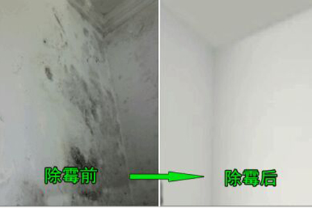 广州番禺大石除霉公司，专业清除霉渍霉斑，上门除霉服务  专业除霉