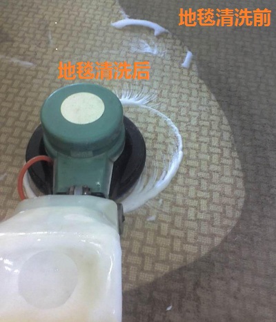 广州海珠沙涌洗地毯服务，清洁办公室地毯，清洗地毯公司  地毯清洗  地毯清洁杀菌