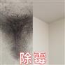 广州除霉公司，专业除霉杀菌，墙壁霉渍清理