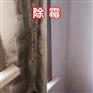 广州除霉公司，上门除霉防霉，天花板发霉处理