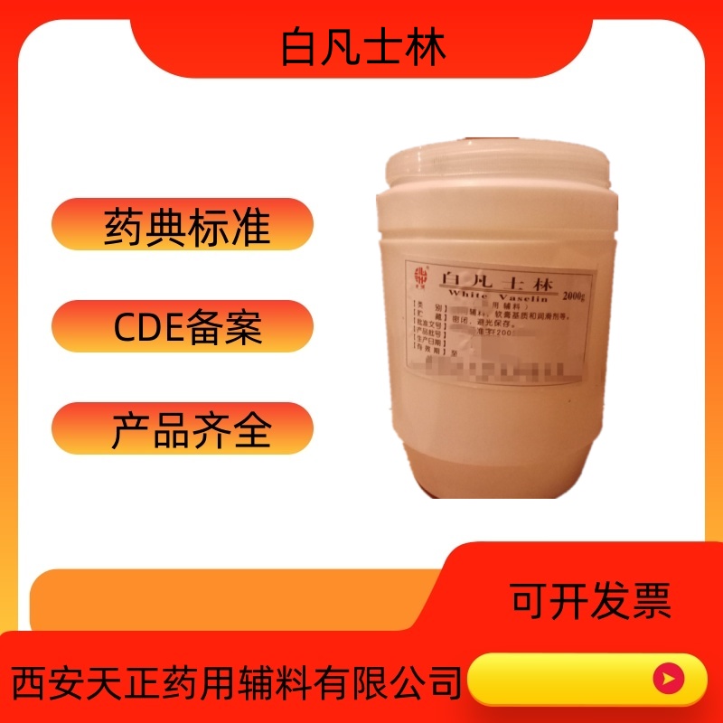 药用辅料硅酸钙1344-95-2药典标准抗结块剂cde备案登  硅酸钙厂家  硅酸钙价值