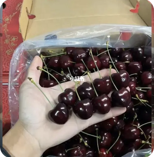 水果验货 食品第三方检验 第三方验货服务