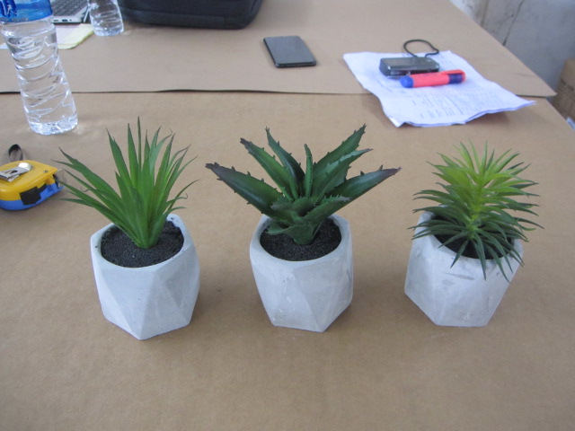 盆栽验货 仿真植物验货 第三方检验检测