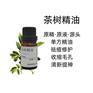 茶树精油 高纯度