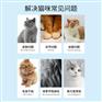 宠物食品猫咪钙片美毛片贴牌定制