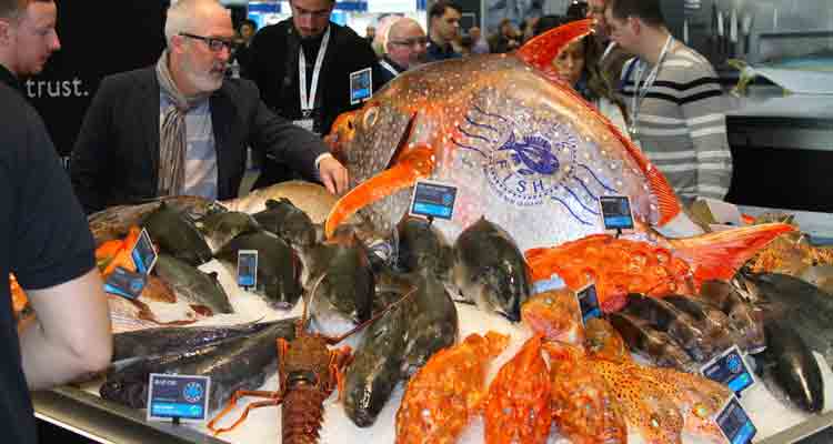 2025年美国波士顿水产海鲜及加工展览会Seafood Ex  美国海鲜及加工展  波士顿海鲜及加工展  Seafood Expo