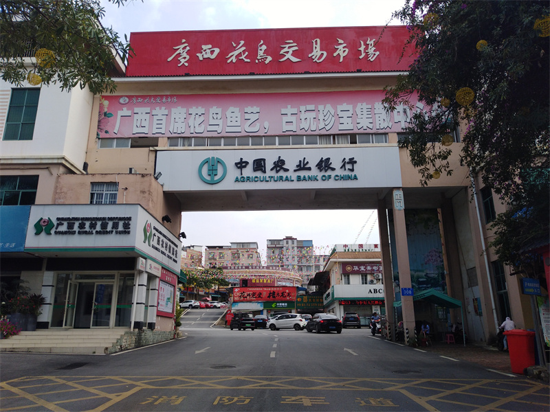 广西花鸟市场 农业灌溉设备交易 滴灌管厂家南宁经营部  广西农业市场  广西灌溉批发市场  广西滴灌设备市场