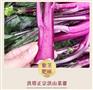 武汉正宗洪山菜苔根部粗壮色泽紫红艳丽