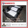 原装进口霍克叉车蓄电池3PZS240 24V270AH现货
