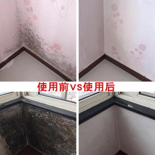 广州海珠东晓除霉公司，楼房全方位除霉杀菌，专业除霉  除霉服务  上门除霉  专业除霉消毒