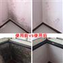 广州专业除霉公司，房屋除霉，墙壁霉渍清理