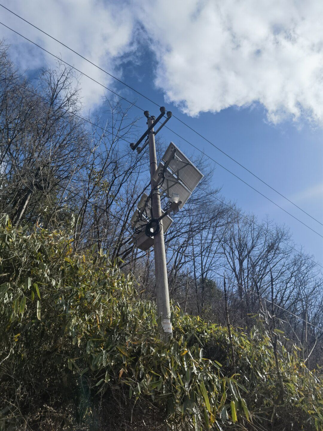 输电线路火灾隐患监测系统 智能识别山火 自动报警  红外热像可见光监控  防山火在线监测装置  山火监测系统