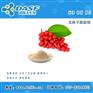 五味子提取物 Schisandra Berries