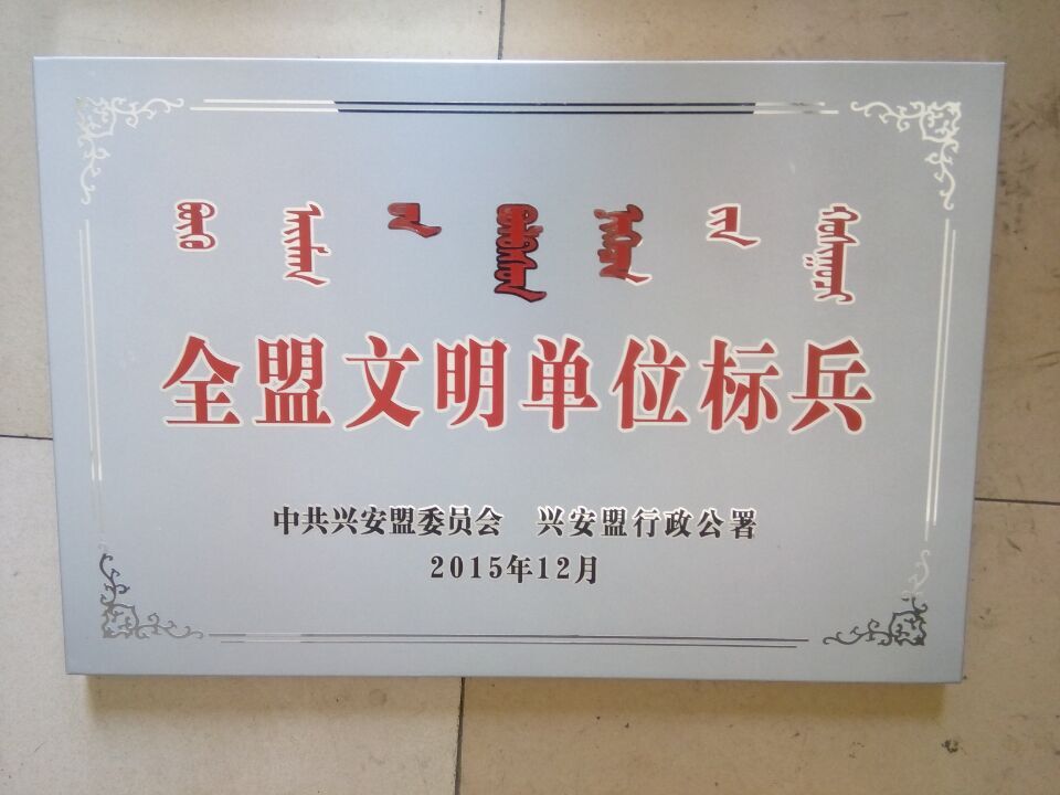 不锈钢腐蚀字,电梯门板腐蚀花纹,沈阳方正标牌  电梯 门板腐蚀  蚀刻花纹