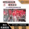 机器视觉涂胶检测