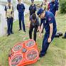 飞行救生圈作业时间长-空中水上均可持续抢险超给力