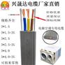 东莞兴晟TVVBG3*2.5mm2+2G电梯专用扁电缆