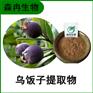 森冉生物 乌饭子提取物 乌饭果提取物 比例提取原料粉