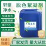 工业污水脱色剂 印染油墨造纸电镀废水高效脱色絮凝剂