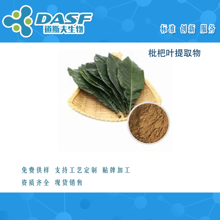枇杷叶提取物  Loquat LeavesExtract  芦桔叶