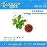 车前草提取物