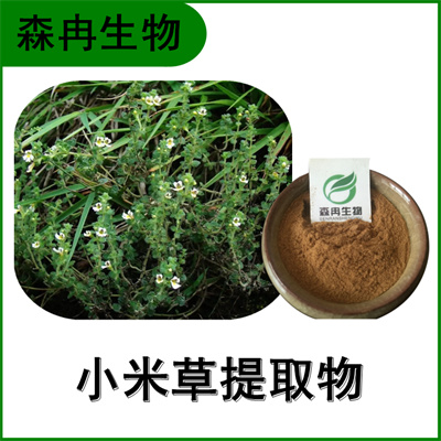森冉生物 小米草提取物 小米草浓缩粉 比例提取原料粉  小米草粉