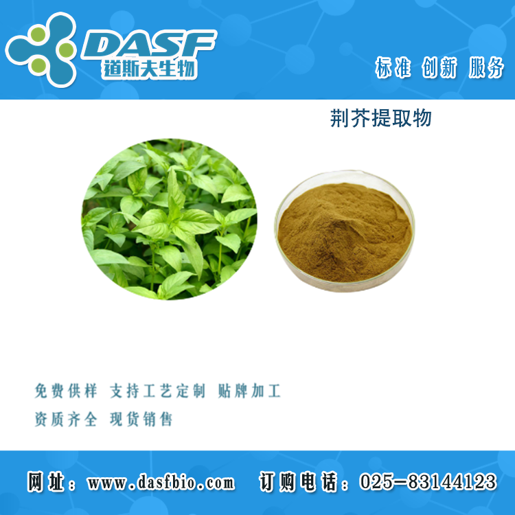 荆芥提取物  Fineleaf Schizonepet  姜芥  香荆芥