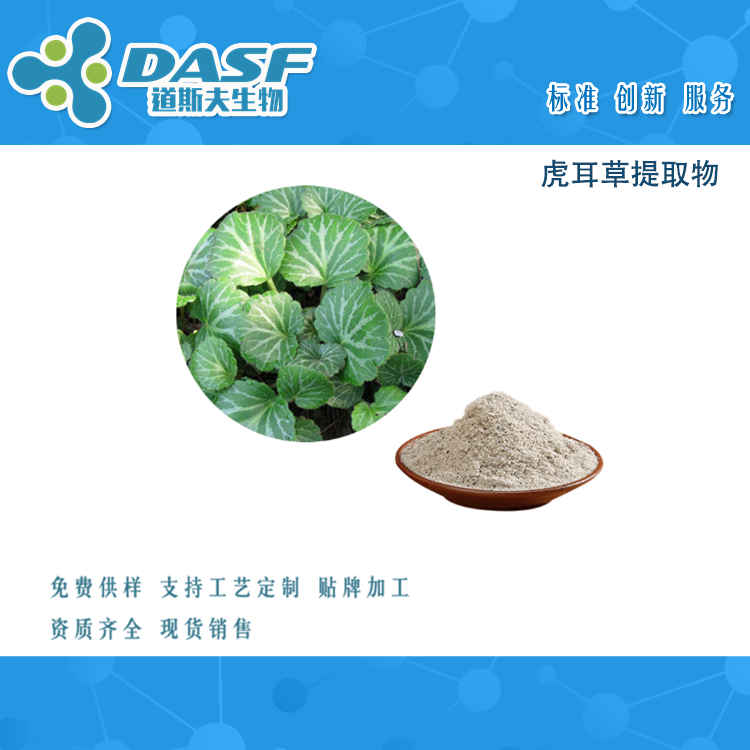 虎耳草提取物  金线吊芙蓉  烂耳草
