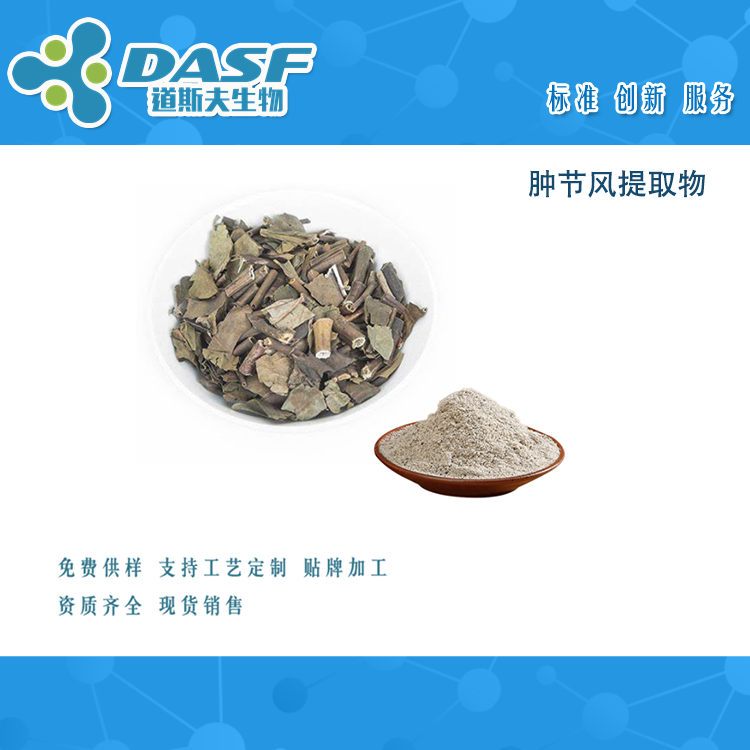 肿节风提取物  Herba Sarcandrae  接骨木