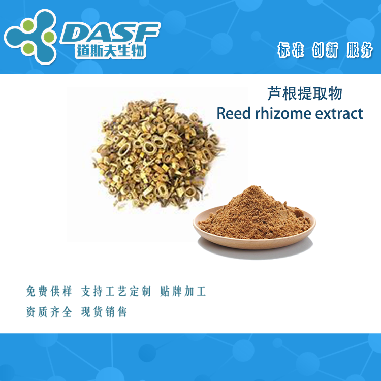芦根提取物  ReedRhizome  芦茅根