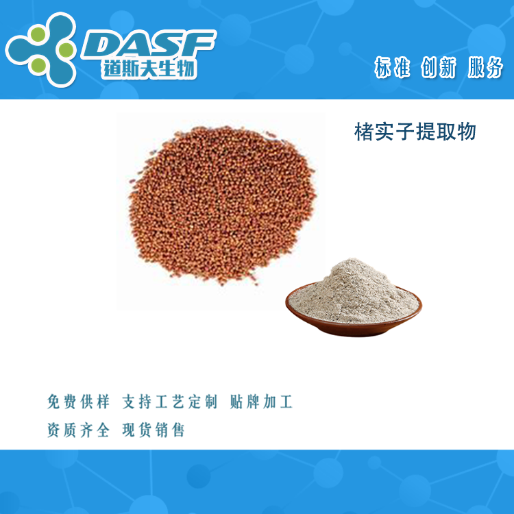 楮实子提取物  Papermulberry Fruit  楮树