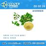 益母草提取物
