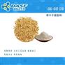 牵牛子提取物
