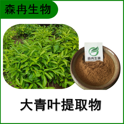 森冉生物 大青叶提取物 臭大青提取物 比例提取原料粉  大青叶粉