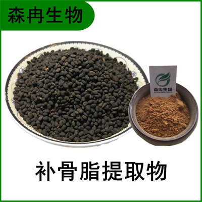 森冉生物 补骨脂提取物 破故纸提取物 比例提取原料粉  补骨脂粉