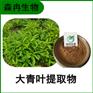 森冉生物 大青叶提取物 臭大青提取物 比例提取原料粉