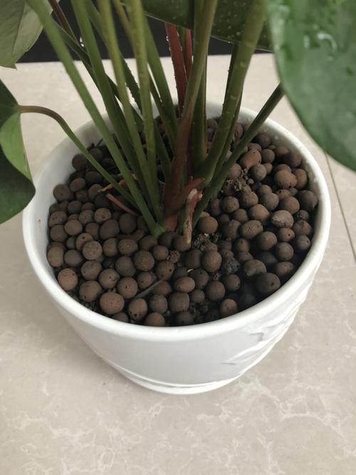 轻质球形陶粒 建筑材料 通用性强  污水处理  陶粒的用途  陶粒的价格