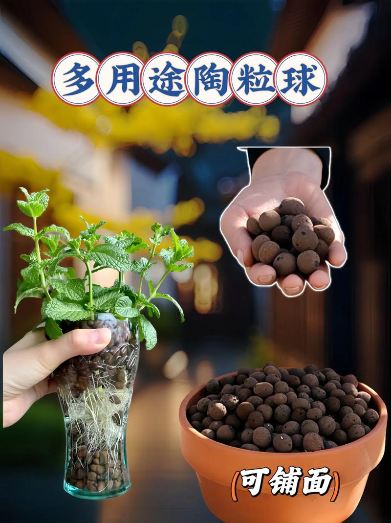 陶粒 吸附过滤  稳定水质 保温透气 卫生间回填  污水处理  陶粒的用途