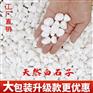 鹅卵石 过滤吸附 质量好 快速发货 河滩园林石