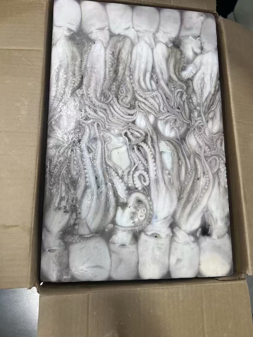 冻品进口报关  冻品生鲜  海鲜进口